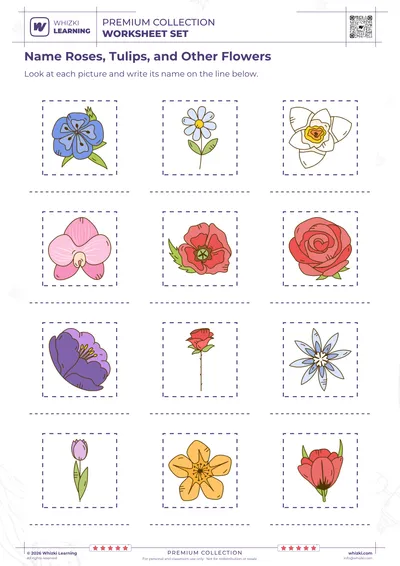 Name Roses, Tulips, and Other Flowers