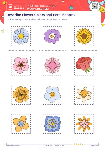 Describe Flower Colors and Petal Shapes