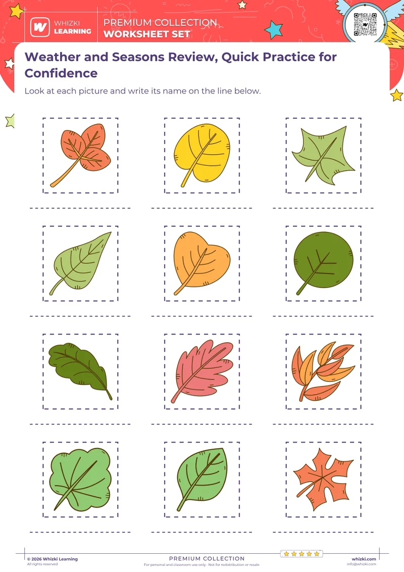 Weather and Seasons Review, Quick Practice for Confidence