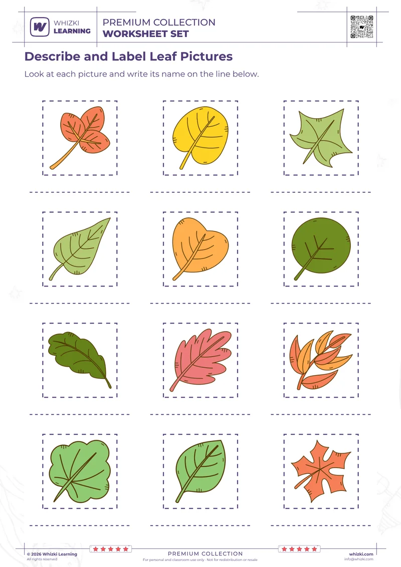 Describe and Label Leaf Pictures