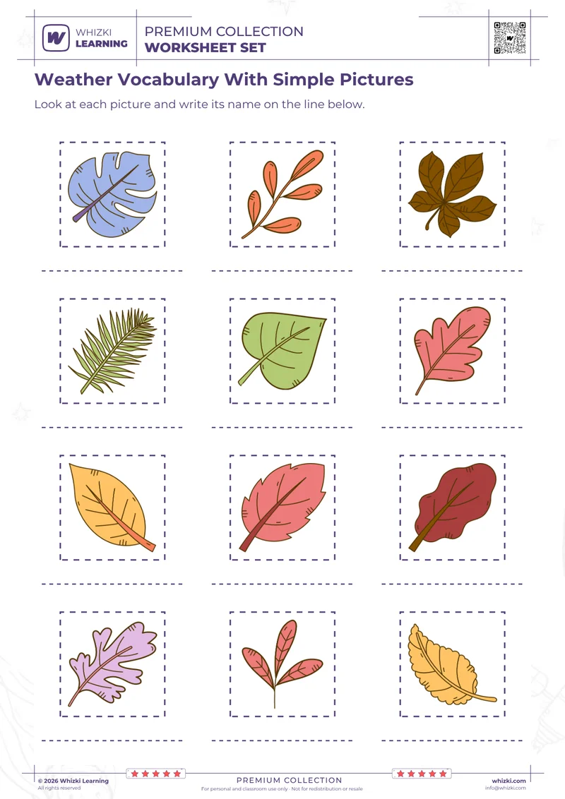 Weather Vocabulary With Simple Pictures