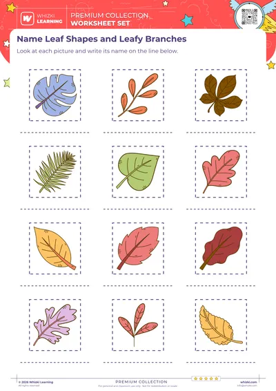 Name Leaf Shapes and Leafy Branches