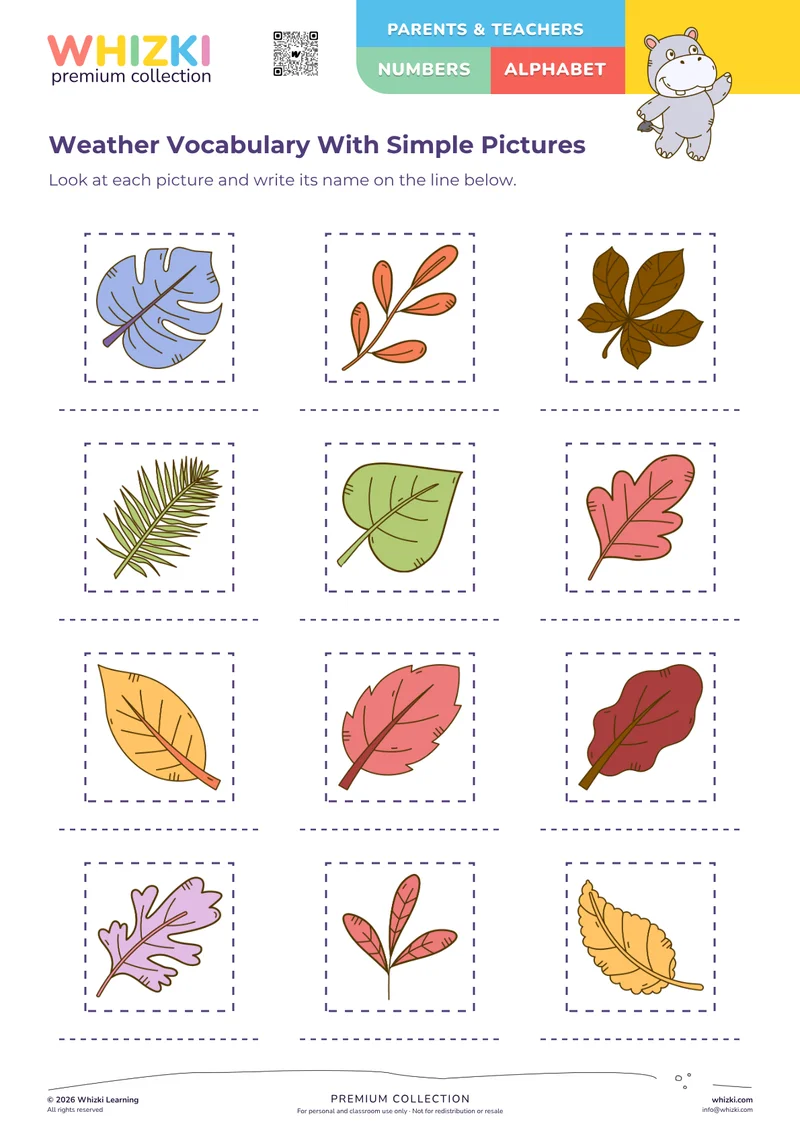 Weather Vocabulary With Simple Pictures